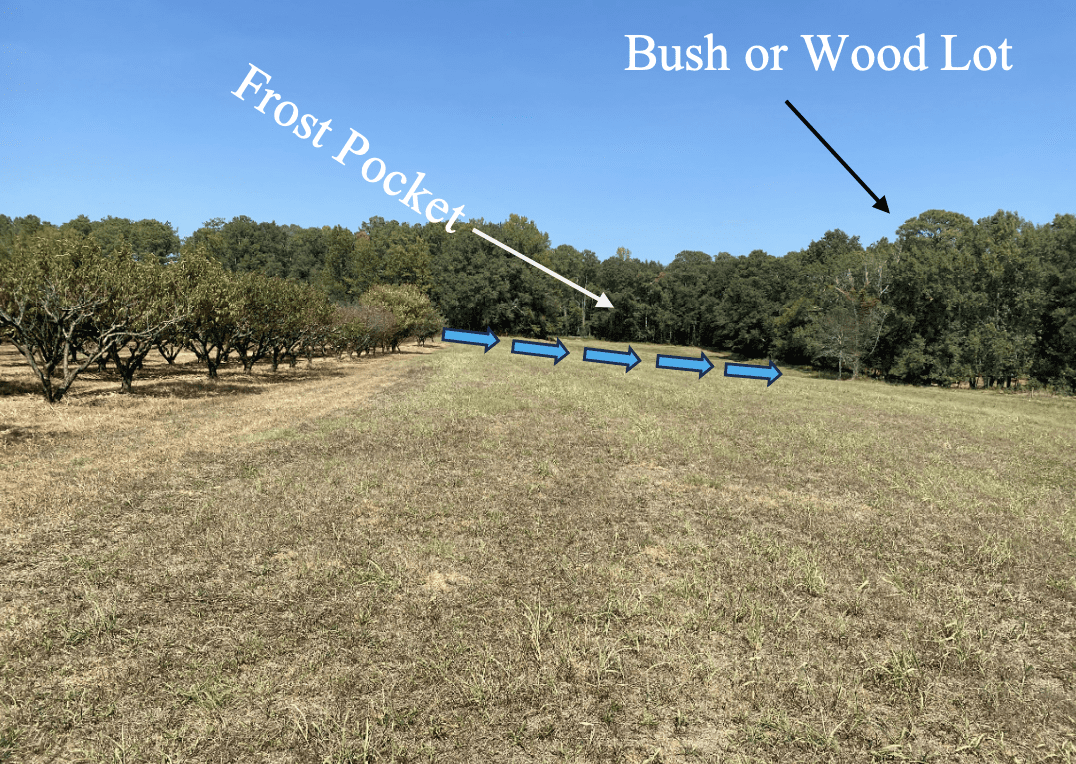 Figure 1. Orchard placement on a slope. Gently rolling to moderate slope; higher elevation than surrounding terrain. Blue arrows indicate the flow of cold air. Set trees on the upper part of a slope to avoid frost pockets. Dense woods should be removed from lower sections of slopes, or openings should be created to allow cold air flow. Tall pines on the north and northwest sides of orchards can reduce freezing wind. The orchard should slope away from native timber.