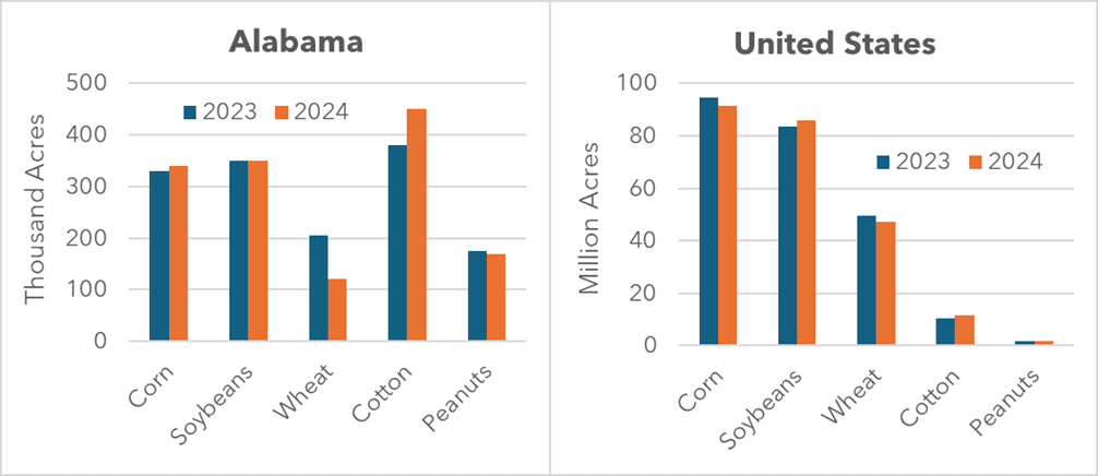 Bar graph of US and Alabama crop acres, 2023 vs. 2024