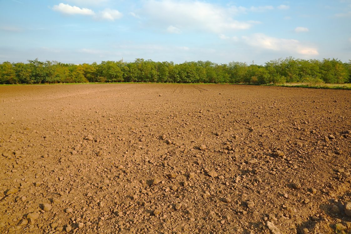 A picture of tilled soil in a field.
