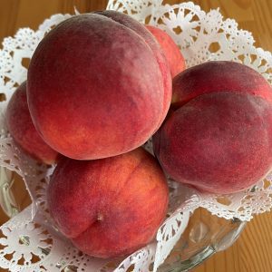 Figure 3. ‘CaroRes Delight’ has medium tolerance to bacterial spot.