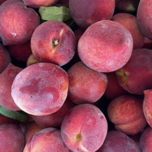A pile of ‘CaroRes Wonder’ peaches.