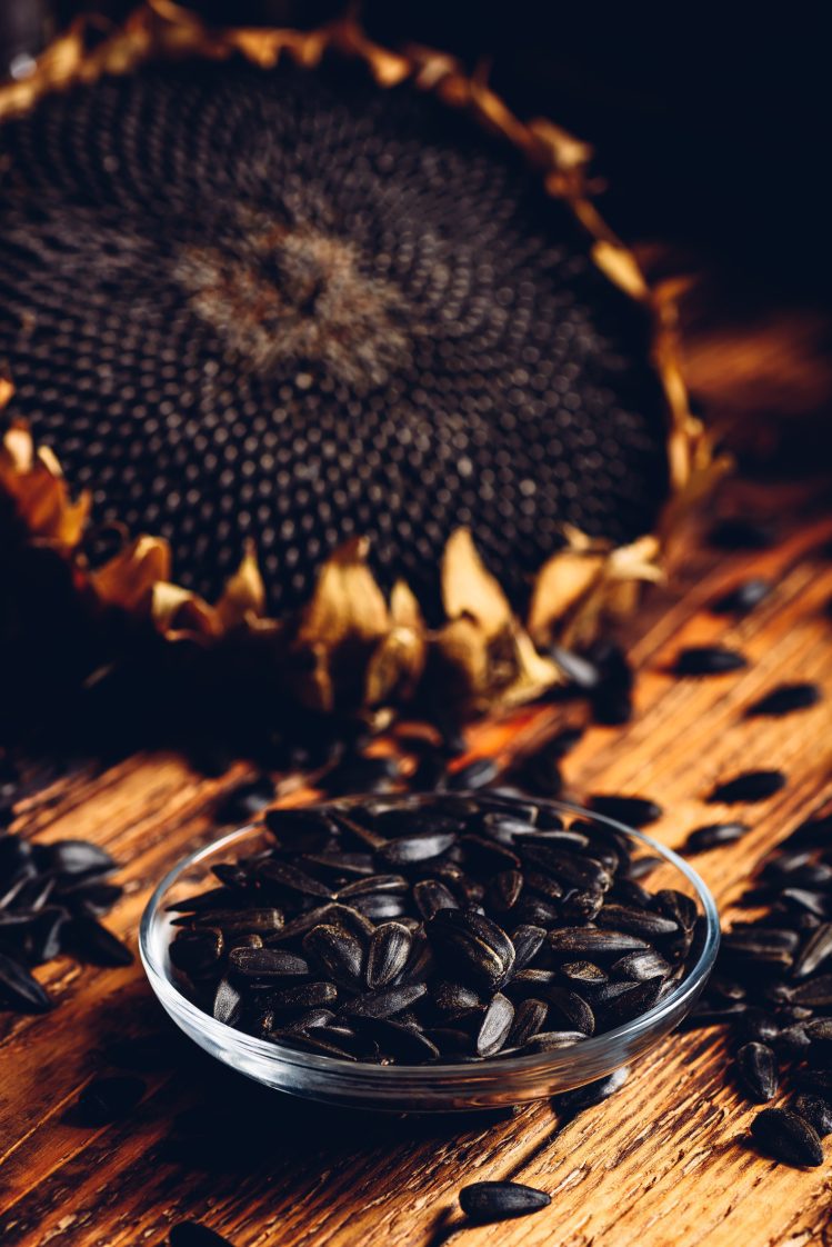 Roasted seeds on the glass saucer and dried sunflower over old wooden surface