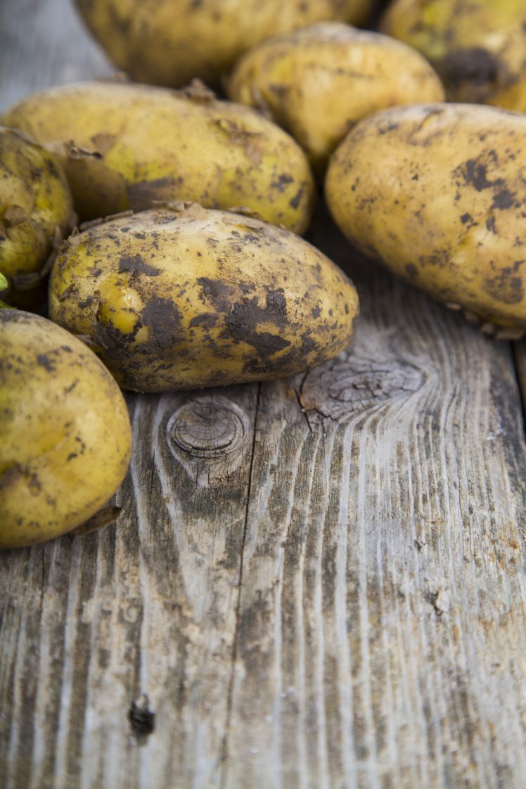 Raw potatoes on a wooden table