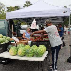 Watermelons for sale at Farmers Market