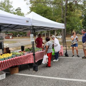 Vegetable stand at Farmers Market