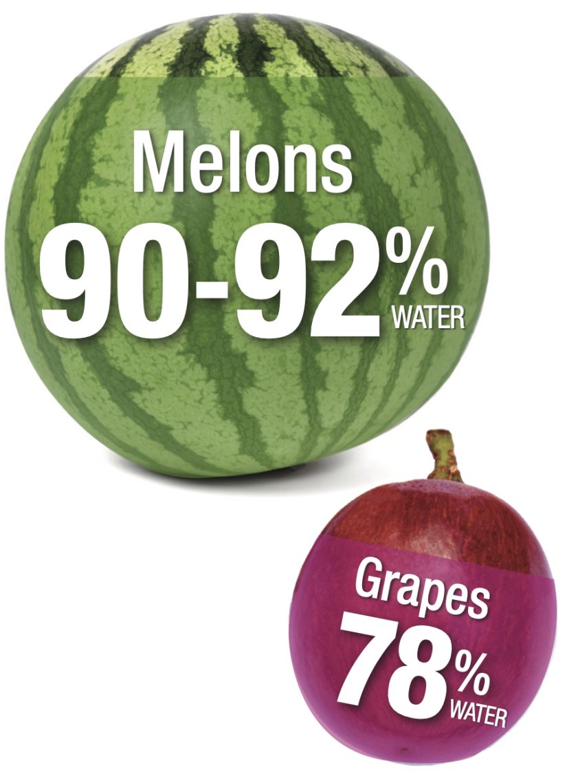 Melons are 90 to 92% water, and grapes are 78% water.