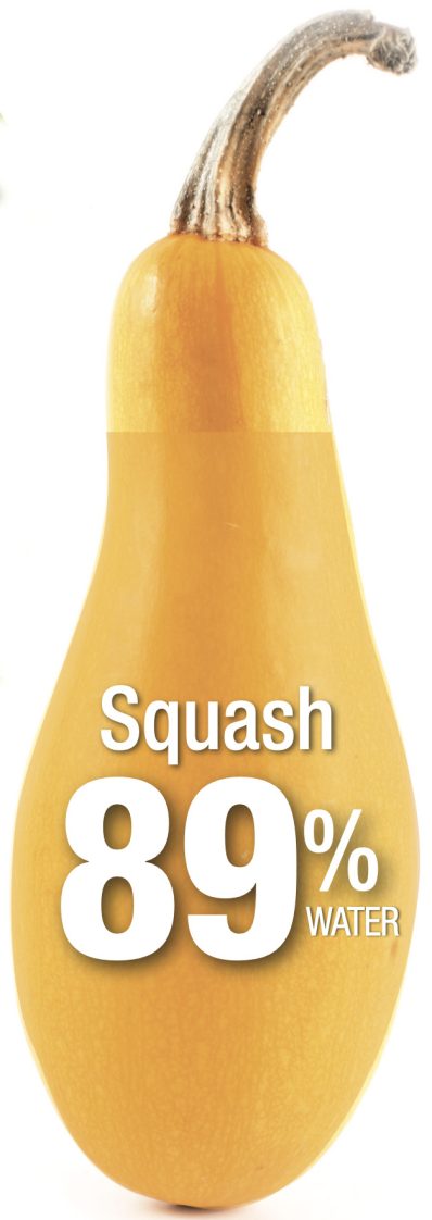 Squash is 89% water.