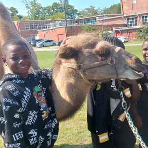 Kids petting a camel.