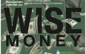 The cover of the WISE Money Management Calendar, which shows money on top of a dark-green background with the following words: Guide to Managing Your Weekly Income, Saving & Expenses.