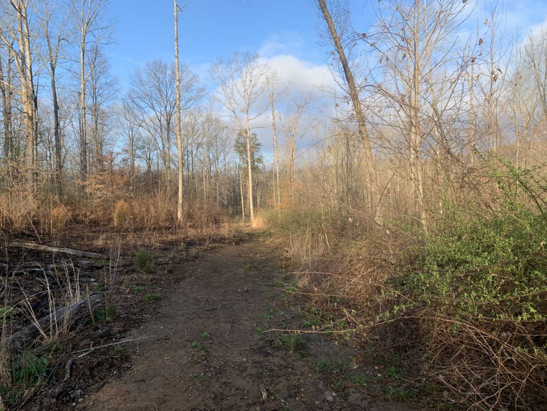 Rotational management will provide close-proximity spring nesting cover (right) and brooding cover (left).