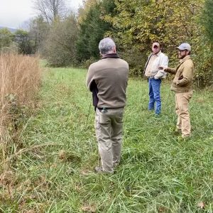 Your local Extension agent can provide management recommendations to improve your lands for wildlife.