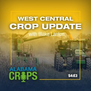 West Central Crop Update with Blake Lanton