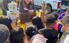 A beekeeper talking to kids about bees.