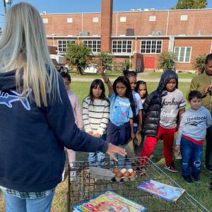 Kids learning where eggs come from at a farm-to-school event.