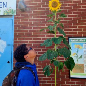 student with sunflowers