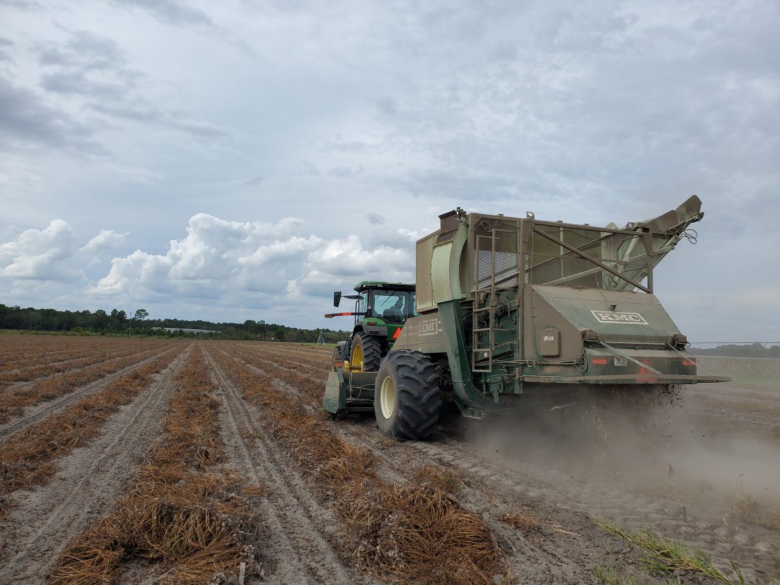 A peanut combine in a field.