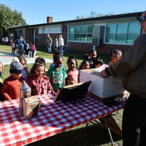 Teaching children about bees