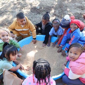 Kids feeling grains in a pool