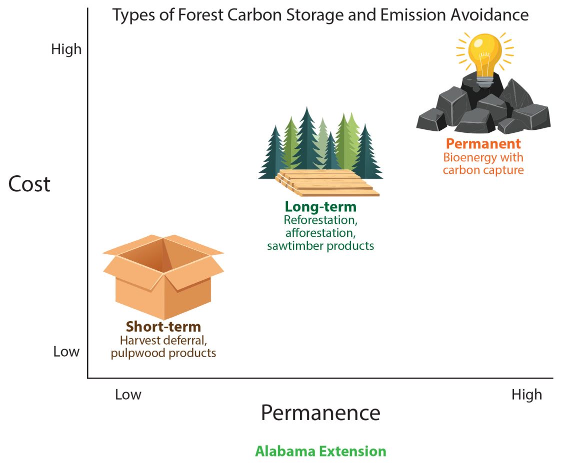 Figure 3. Forest carbon storage options and emission avoidance vary in relation to permanence and cost.