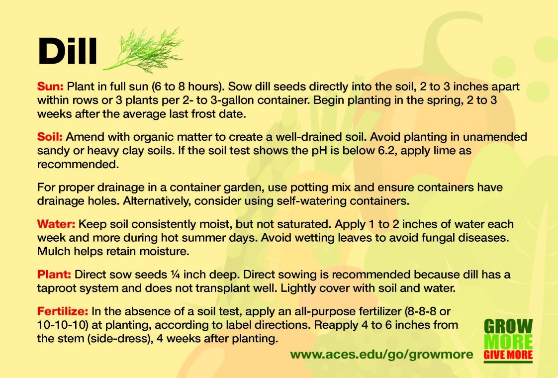 Grow More Dill growing card