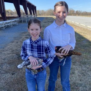 Knight sisters holding chickens at Fur and Feathers Show