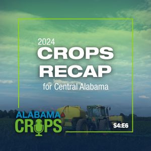 2024 Crops Recap for Central Alabama