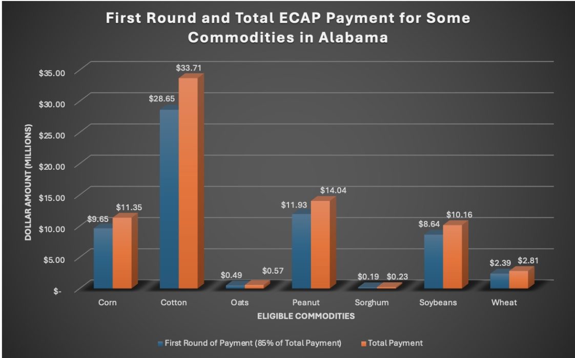 Table depicting estimated payments for each eligible commodity under USDA's emergency crop assistance program. 