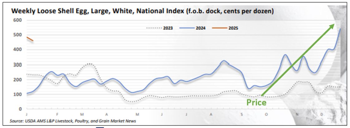 Figure 2. This graph shows the resulting price spike caused by the low supply and increasing demand for eggs.