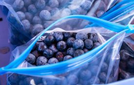 Blueberries ready for storage in plastic bags.