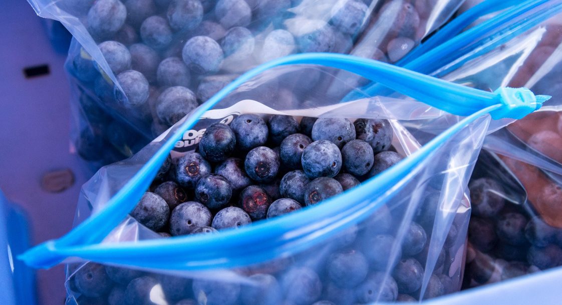 Blueberries ready for storage in plastic bags.