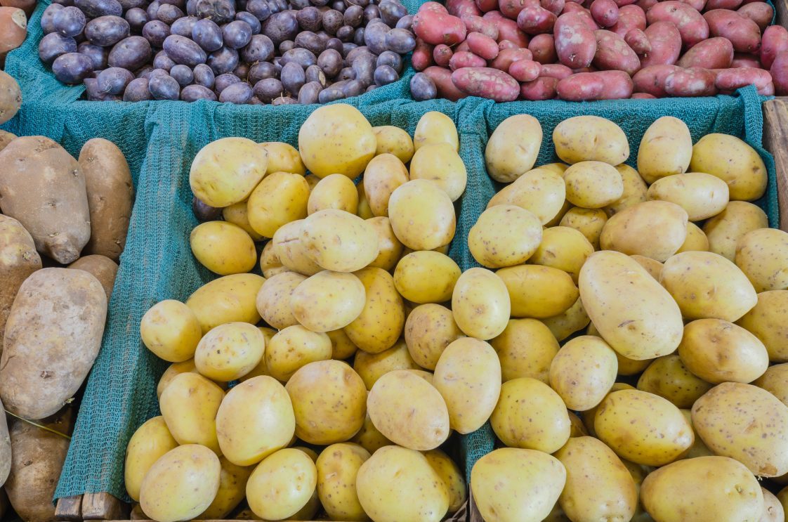 Varieties of potatoes at a farmer's market.