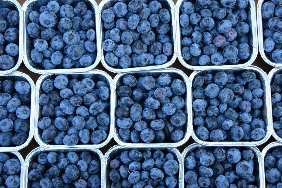 Blueberries in containers at a farmer's market.