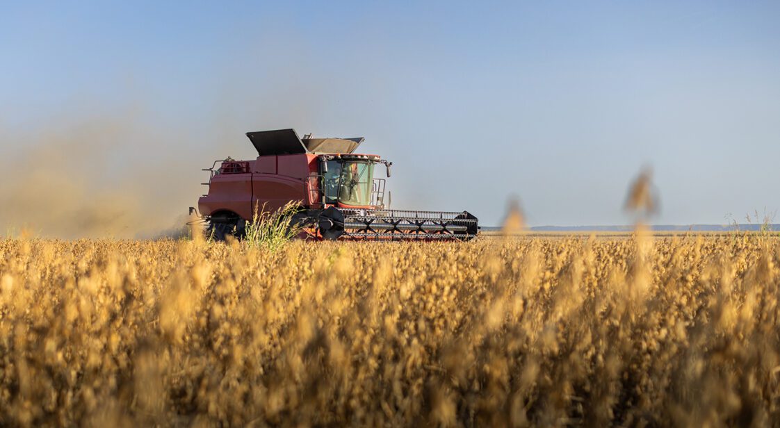 A combine harvesting soybeans at sunset