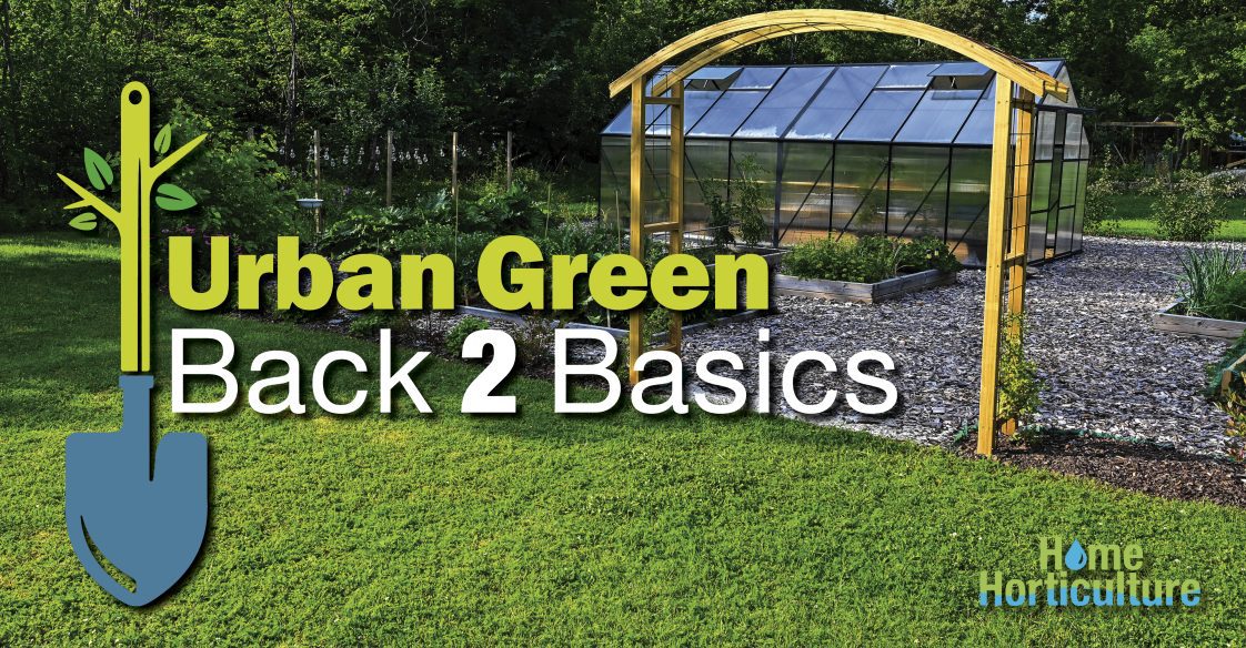 A picture of a backyard greenhouse with the words Urban Green Back 2 Basics type over the image.