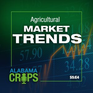 Agricultural Market Trends graphic for season 5 episode 4 of the podcast