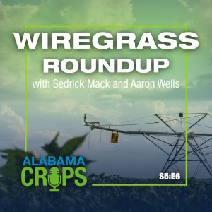 WIregrass Roundup graphic for Season 5 Episode 6 of the Alabama Crops Report Podcast