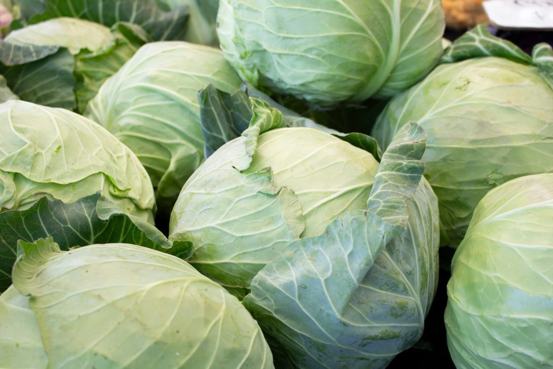 A view of a table full of cabbage, on display at a local farmers market.