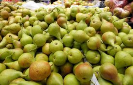 Fresh organic pears for a sale at a farmers market