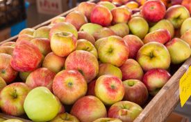 Honecrisp apples at a local outdoor market
