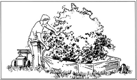 Figure 7. Catch frame and electric vibrator: harvest aid for blueberries