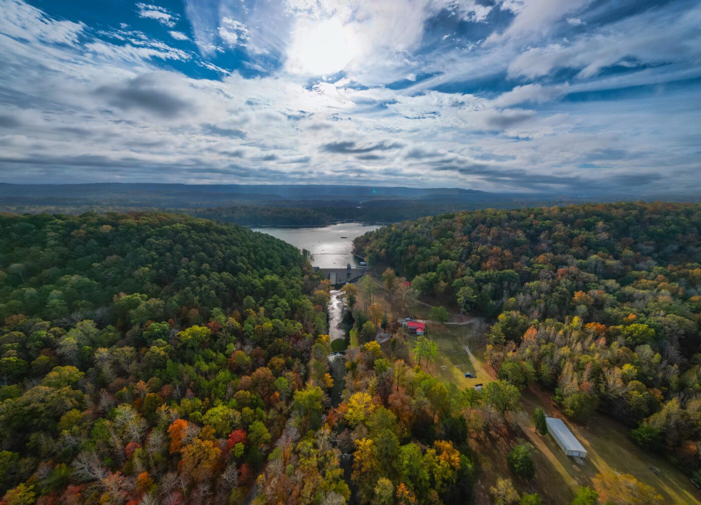 A bird's eye view of trees and a lake.