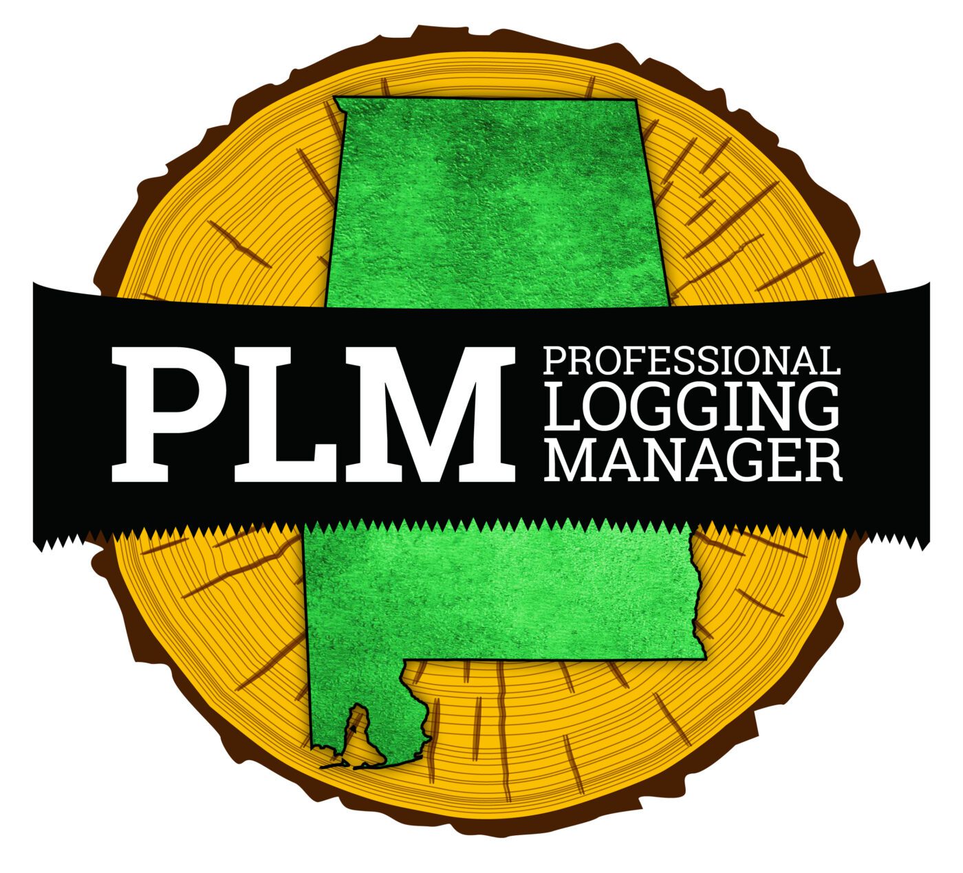 The PLM Professional Logging Manager logo.