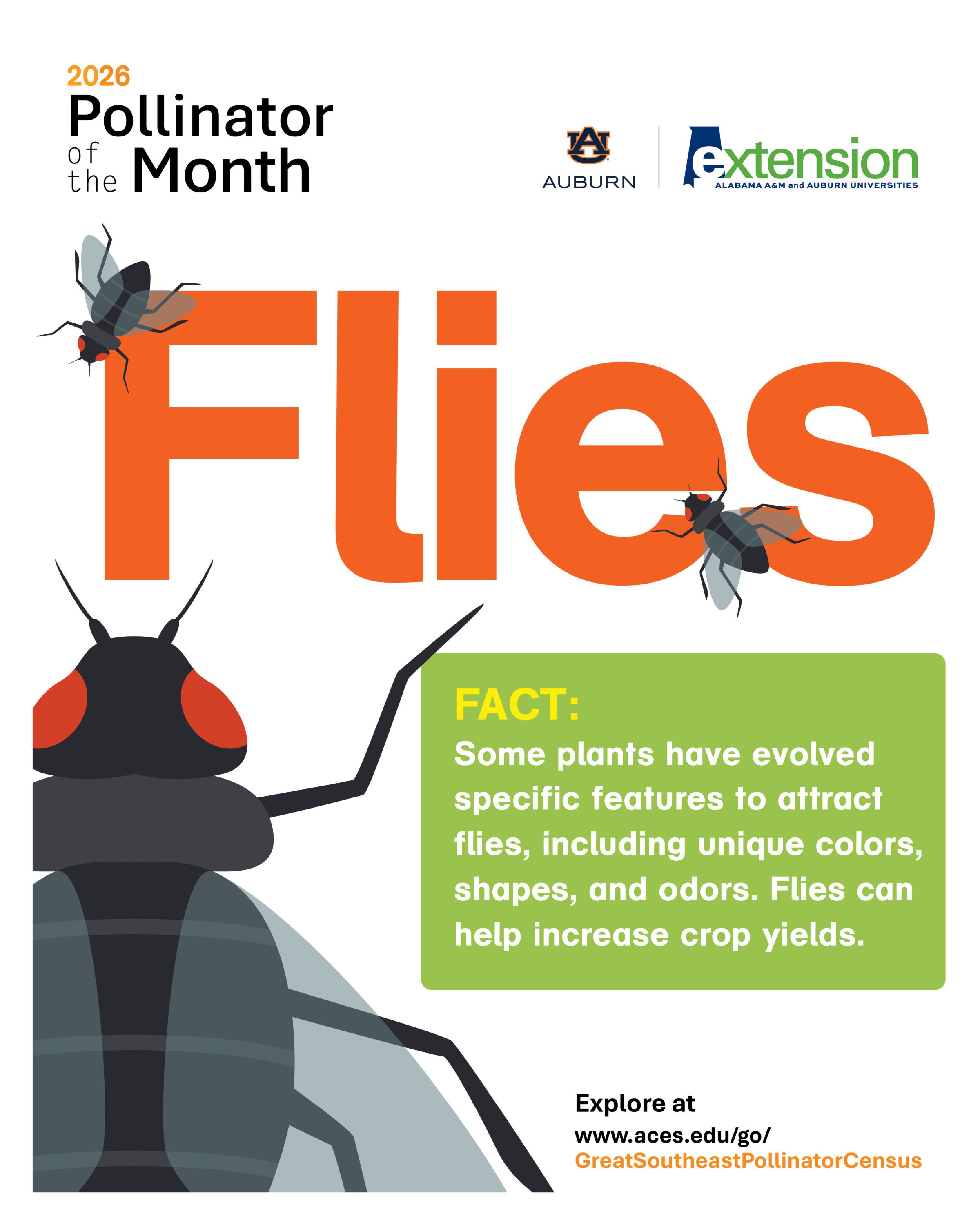 An illustrated graphic of a fly.