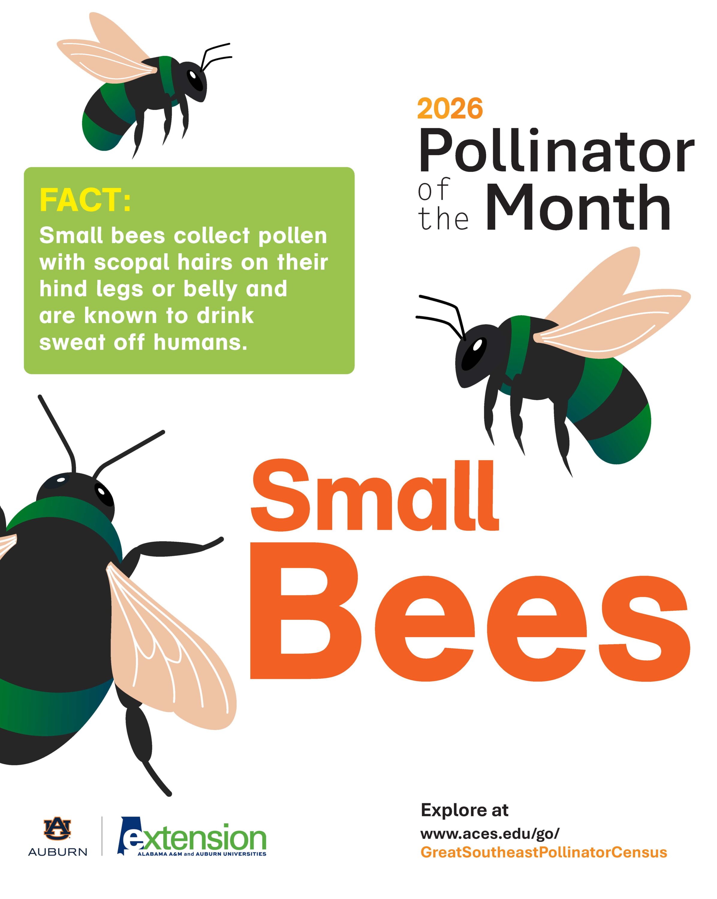 An Illustrated graphic of several small bees.
