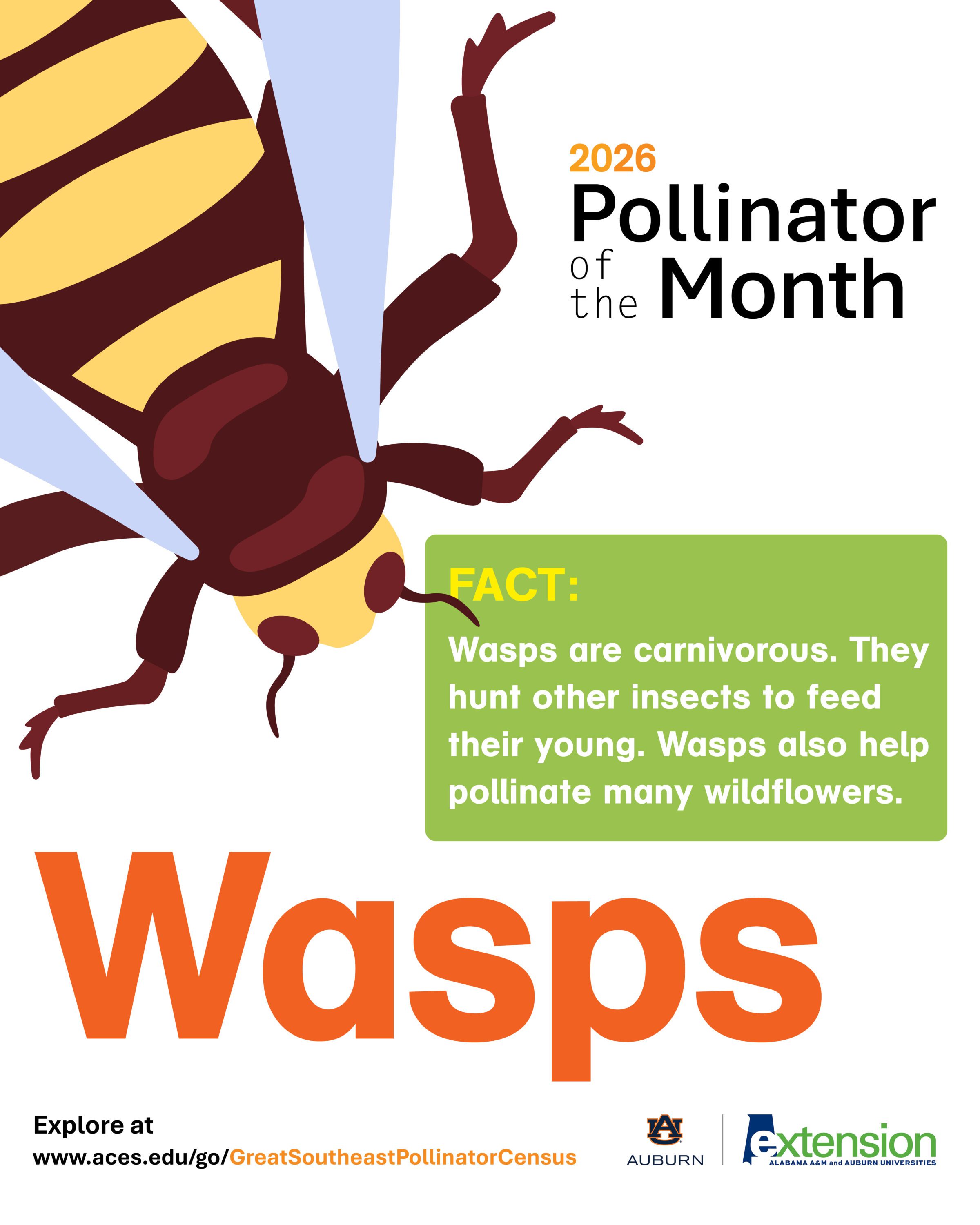 An illustrated graphic of a wasp.