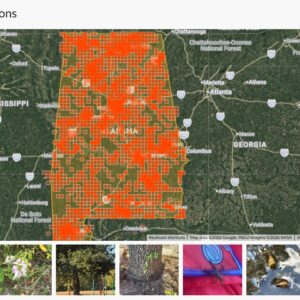 A screenshot of observations reported through a citizen science project.