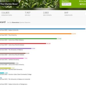 A graphic showing the results of the Marble Bowl.
