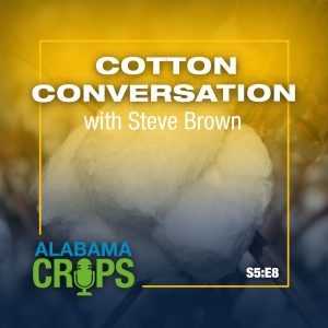 Cotton Conversation with Steve Brown Alabama Crops Podcast graphic