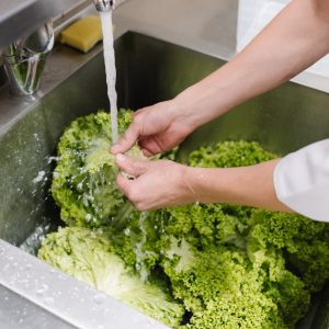 Cook washing green salad in a kitchen sink before adding it to a meal.