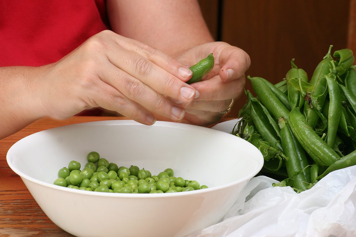 A woman shucking fresh sweet peas from the garden.